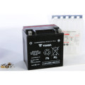 YUASA AGM Maintenance Free Battery