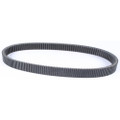 SP1 Max-Torque Belt