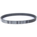 SP1 Max-Torque Belt