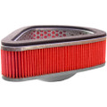 HIFLOFILTRO Air Filter
