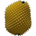 FUNNELWEB AIR FILTER PROLINE