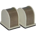HIFLOFILTRO AIR FILTER