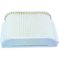 HIFLOFILTRO AIR FILTER