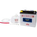 FIRE POWER BATTERY W/ACID B39-6 6V