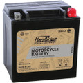 HARDDRIVE HIGH PERFORM BATTERY YTX24HL CCA 350 HRDM7250H
