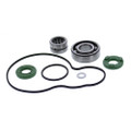 VERTEX WATER PUMP REBUILD KIT 821331