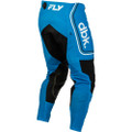 FLY RACING Evolution DST DBK Pants (2027)