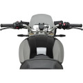PUIG WINDSCREEN NAKED NEW GEN SPORT SMOKE BMW 22132H