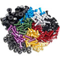 PUIG Windscreen Screw Kit