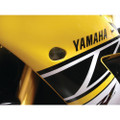 HOTBODIES Flush Mount Signal