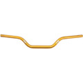 FORBIDDEN MOTO STYLE HBAR HI RISE GOLD TBW HJ2020TFMT-01GD