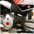 P3 Carbon Sprocket Cover