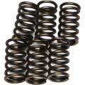 EBC CLUTCH SPRINGS CSK10