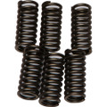 EBC CLUTCH SPRINGS CSK102