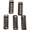 EBC CLUTCH SPRINGS CSK112