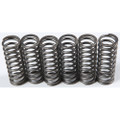 EBC CLUTCH SPRINGS CSK119