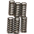 EBC CLUTCH SPRINGS CSK120