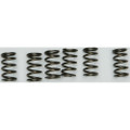 EBC CLUTCH SPRINGS CSK130
