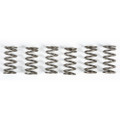 EBC CLUTCH SPRINGS CSK165