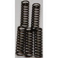 EBC CLUTCH SPRINGS CSK169
