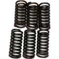 EBC CLUTCH SPRINGS CSK24