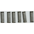 EBC CLUTCH SPRINGS CSK205