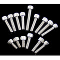 MODQUAD 9 PIECE CLUTCH COVER STAINLESS BOLT KIT BS1-2