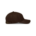 ALPINESTARS DYLAN DAD HAT BROWN