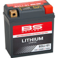BS BATTERY Lithium LiFePO4 Battery