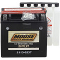 MOOSE UTILITY AGM Maintenance-Free Battery