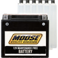 MOOSE UTILITY AGM Maintenance-Free Battery