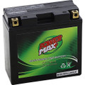 POWER MAX Maintenance-Free Battery