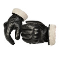 TORC Donner Gloves