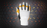 Motorcycle Gloves