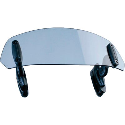 PUIG Replacement Shield