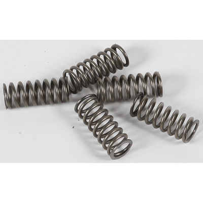 EBC CLUTCH SPRINGS CSK101