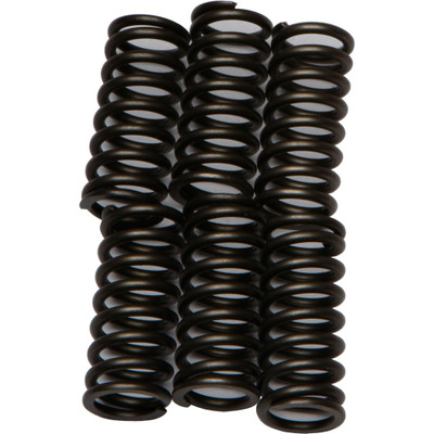 EBC CLUTCH SPRINGS CSK103