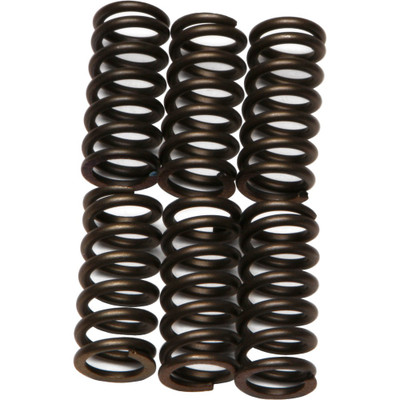 EBC CLUTCH SPRINGS CSK11