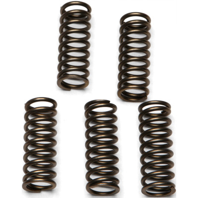 EBC CLUTCH SPRINGS CSK112