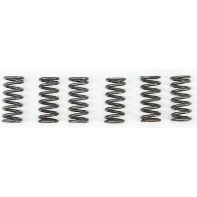 EBC CLUTCH SPRINGS CSK2