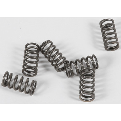EBC CLUTCH SPRINGS CSK139