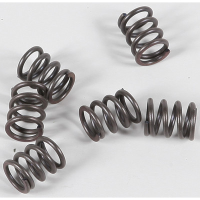 EBC CLUTCH SPRINGS CSK21