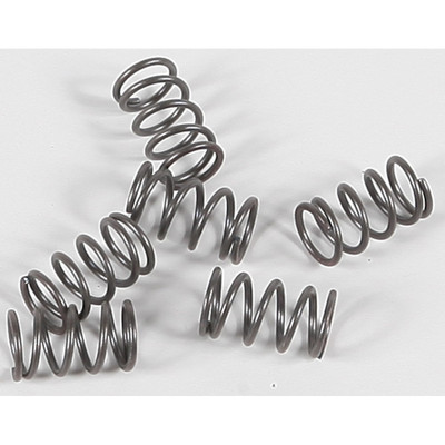 EBC CLUTCH SPRINGS CSK40