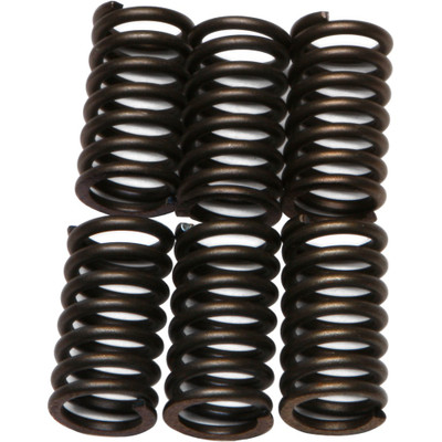 EBC CLUTCH SPRINGS CSK41
