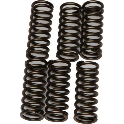 EBC CLUTCH SPRINGS CSK196