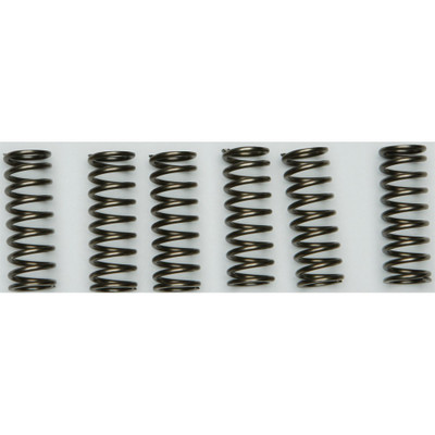 EBC CLUTCH SPRINGS CSK205