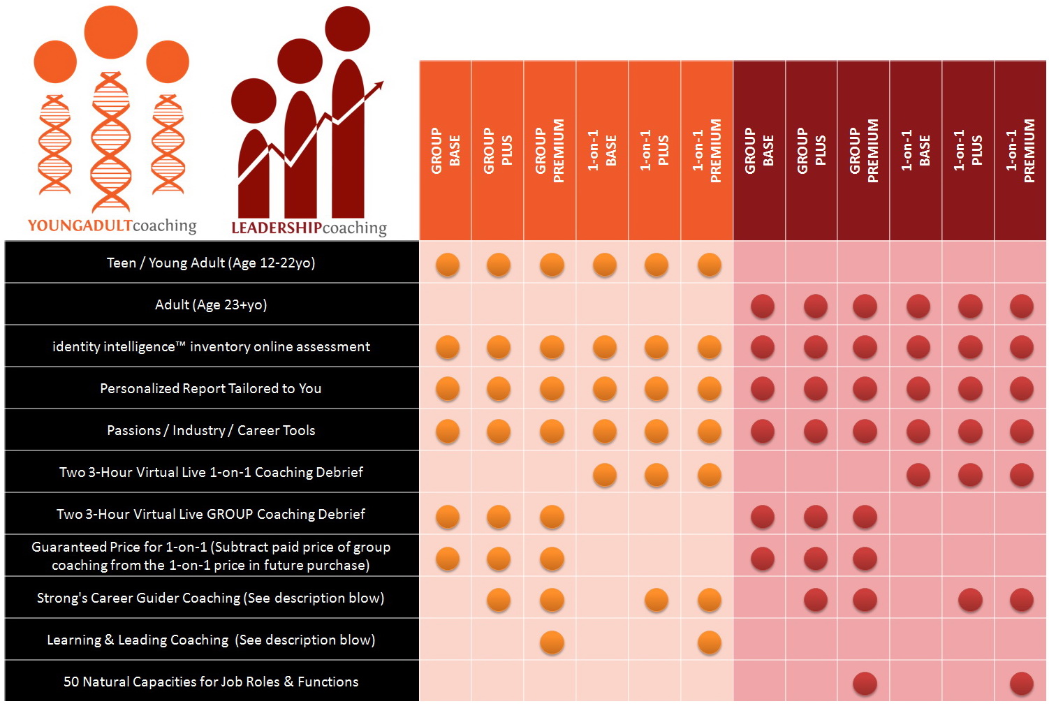 identity-intelligence-coaching-package-comparison.jpg