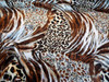 Discount Fabric Charmeuse Silky Bridal Satin Apparel Cheetah Tiger Big Cat CS21