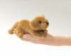 Mini Golden Retriever Puppet