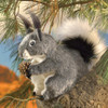 Abert's Squirrel Puppet